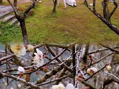-广东天露山旅游度假区