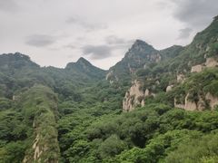 -大岭沟猕猴桃谷风景区