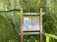 -龙水峡地缝景区