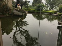 -鼓浪屿钢琴博物馆