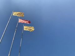 -爱新觉罗皇家博物院