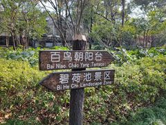 -汇龙潭