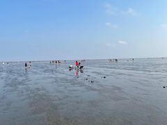 -南汇嘴观海公园