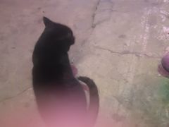 -昆明动物园