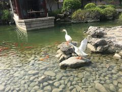 -祝家花園(伯渎港店)