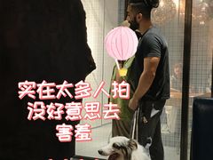 -MAGPIE喜鹊派餐厅(华侨城店)