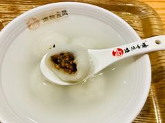 -海丝金凤(金鱼店)