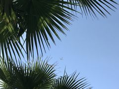 -白石龙音乐公园