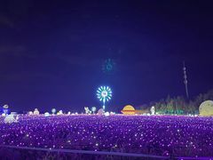 -亚心花海主题乐园