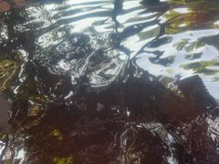 -碧水湾温泉