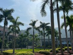 -厦门国家会计学院