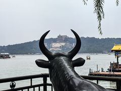 -颐和园