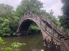 -龙天小镇