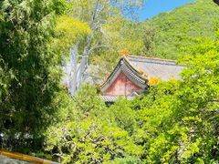 -潭柘寺景区