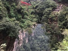 -十里香粉馆(虹桥中路店)