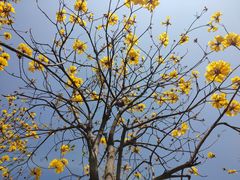 -中国移动南方基地