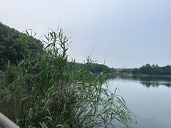 -美兰湖景区