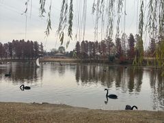 -南通濠河风景名胜区