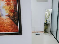 -薇兰专业脱毛连锁机构