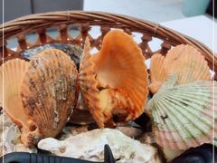 -阿里元老宋海鲜大排档(明发店)