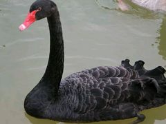 -艾溪湖湿地公园