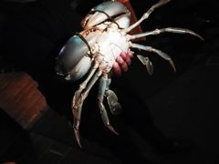 -Ministry of Crab(科伦坡店)