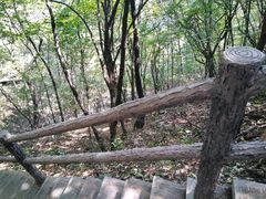 -秦岭天竺山景区