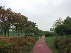 -洨河生态公园