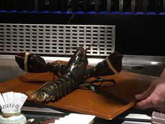 -松临·铁板烧&Omakase(神农店)