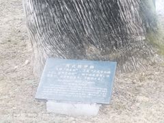 -黄帝陵