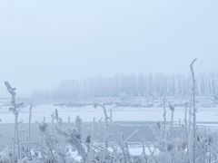 -雾凇岛