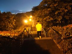 -羊山湖公园