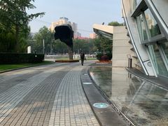 -凤凰中心