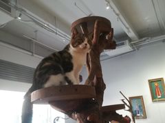 -more than meow吴止猫主题餐厅(承德 中船汇店)