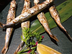 -石葵(锦业时代店)