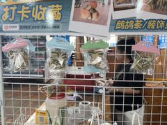 -蓝湾碧波·老字号·疍家非遗海上餐厅