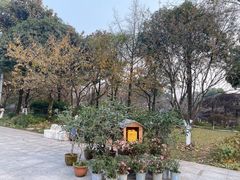 -南山植物园