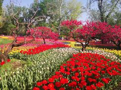 -国家植物园南园