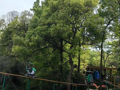 -杭州少年儿童公园