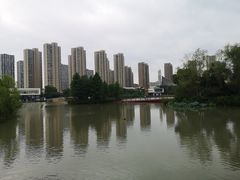 -都喜天丽富都青枫苑酒店-青枫小筑