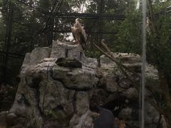 -海南热带野生动植物园
