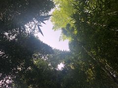 -穹六人间 people 6(岳阳路店)