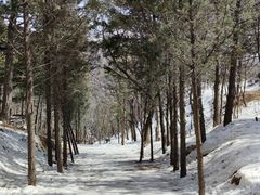 -妙峰山风景名胜区