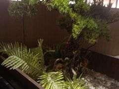 -湘邻呷铺·田园家宴(汉基广场店)