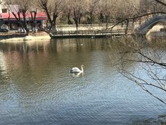 -石家庄市动物园