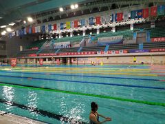 -陕西省游泳跳水馆