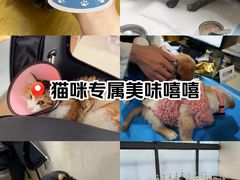 -艾贝尔宠物医院·24H转诊中心·肿瘤猫专科(江宁双龙店)