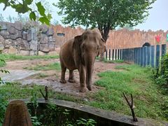 -济南野生动物世界