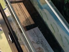 -天津梵高星空艺术馆(天河城旗舰店)