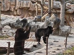 -上海野生动物园